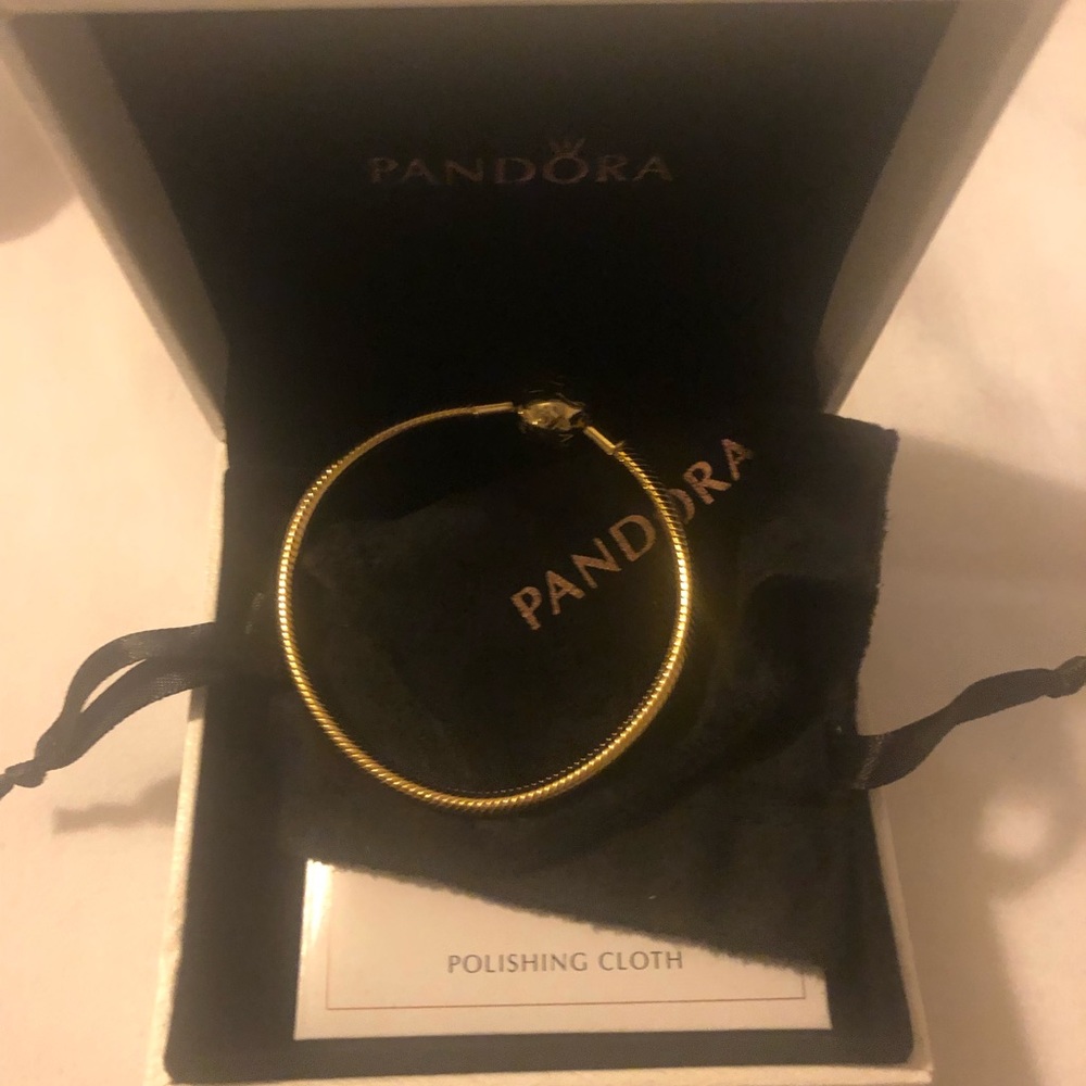 Pandora Shine bracelet